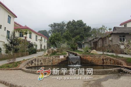 IMG_1481_wps圖片