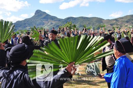 哈尼族“棕扇舞”被列入第三批國家級非物質文化遺產名錄