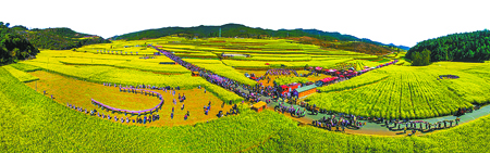 四方賓客趕花街