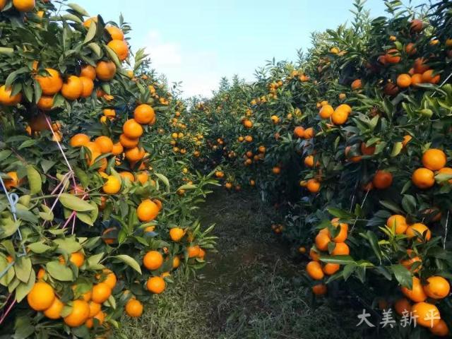 微信圖片_20191120081705.jpg