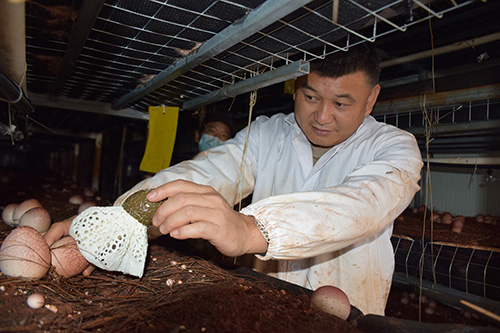 梅營社區：就業在“幸福里” 生活在幸福里1.jpg