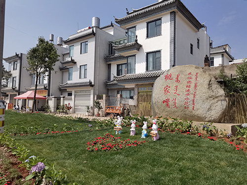 桃家嘴村：黨建引領聚合力 人居環(huán)境展新顏.jpg
