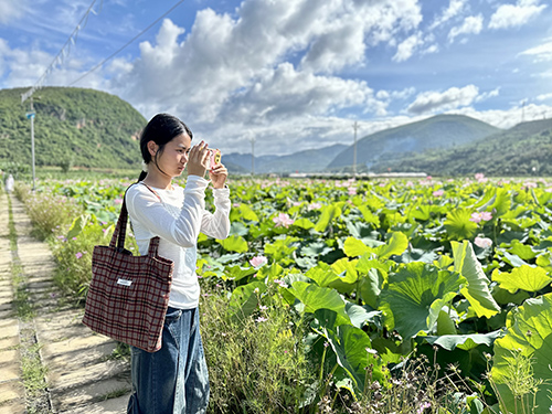 夏日旅游熱.jpg