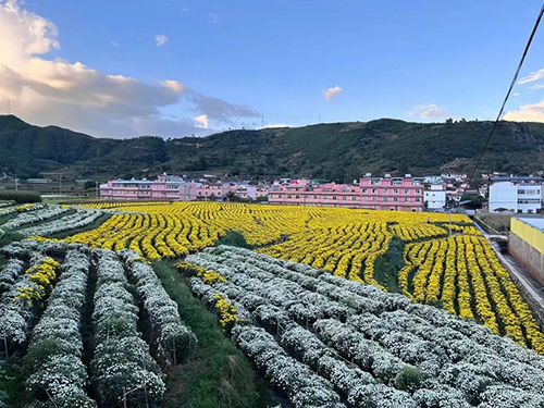 易門小街村走出基層治理特色路2.jpg