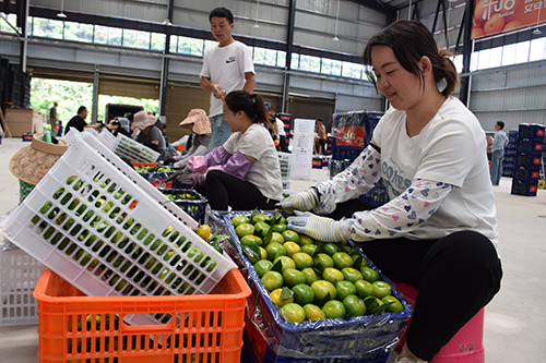 打造勞務“金名片”捧起增收“金飯碗”.jpg 打造勞務“金名片”捧起增收“金飯碗”.jpg