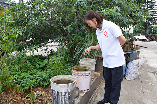 “花蚊子”來襲,當(dāng)心感染基孔肯雅熱.jpg “花蚊子”來襲,當(dāng)心感染基孔肯雅熱.jpg