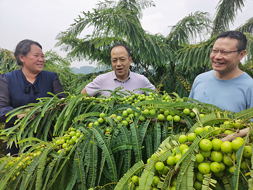 生態優先推進多元發展綠美助力實現富民興村.jpg