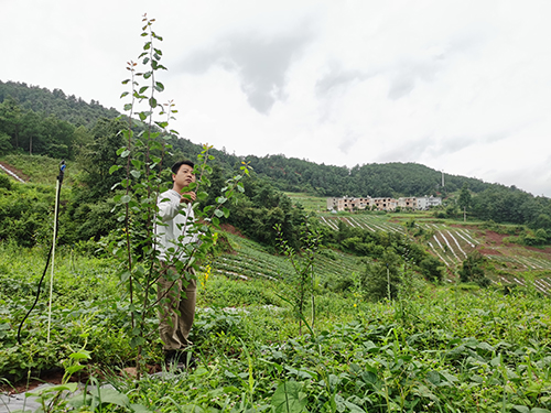 生態優先推進多元發展綠美助力實現富民興村1.jpg