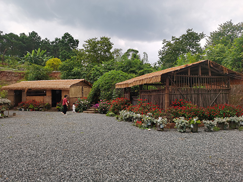 生態優先推進多元發展綠美助力實現富民興村4.jpg