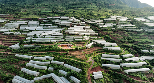 盤活土地興產業聯農帶農促增收.jpg