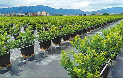 “建治調管宣戰”六項措施繪就湖泊生態新畫卷3.jpg “建治調管宣戰”六項措施繪就湖泊生態新畫卷3.jpg