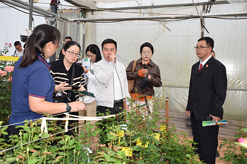 “司法護航云花盛放”全媒體采訪活動走進玉溪.jpg