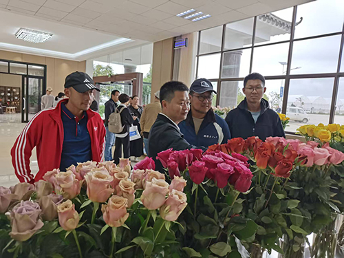 交流種植技術賦能產業升級.jpg