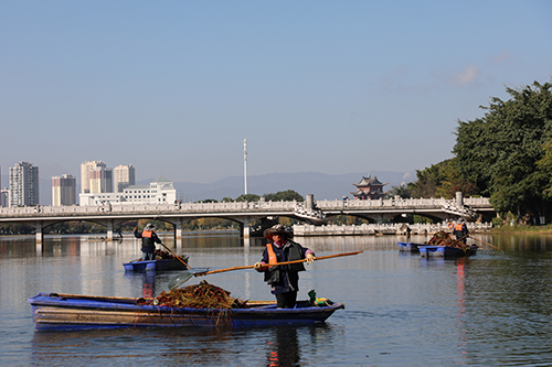 為玉湖“美顏”.jpg