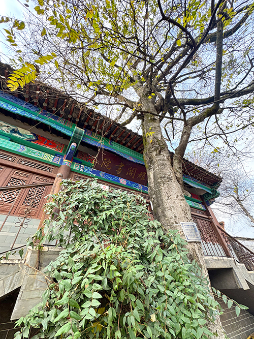 追尋古道雄關(guān)的時(shí)光印跡.jpg