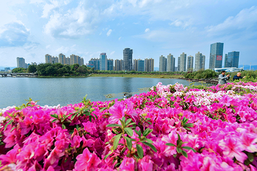 市民游客盡享春日美好時光.jpg