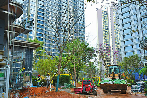 項目建設熱潮涌動.jpg