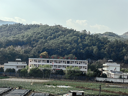 青春力量扎根基層 鄉(xiāng)村振興寫出新篇4.jpg