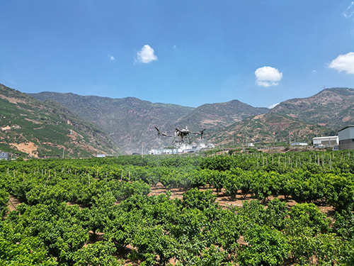 華寧山地農業“飛”出新高度.jpg
