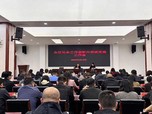 全區(qū)社會工作暨新興領(lǐng)域黨建工作會議召開.jpg