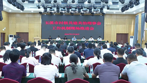 玉溪市村級共建共治理事會工作機制現場推進會在新平舉行1.jpg