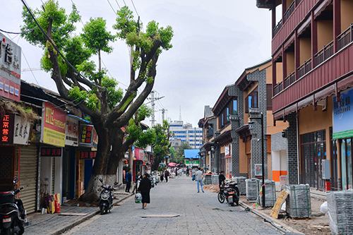 青石板下見功夫 老墻內(nèi)外有煙火.jpg