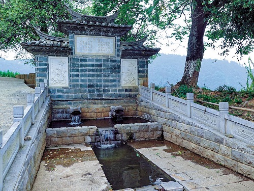 a41500.jpg